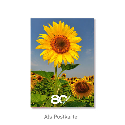 Grußkarte Sonnenblume