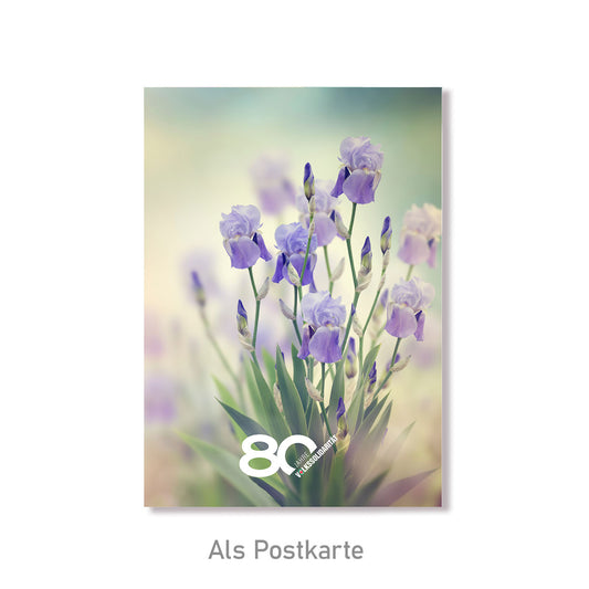 Grußkarte Schwertlilien