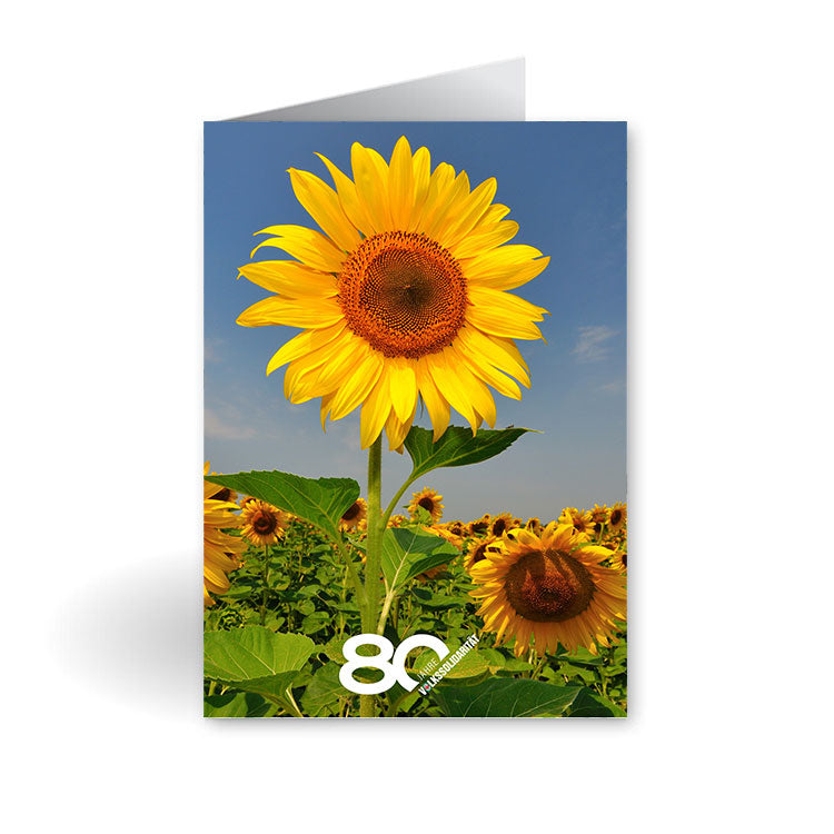 Grußkarte Sonnenblume
