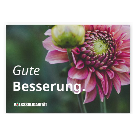 Postkarte "Gute Besserung" mit Chrysantheme